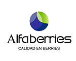 alfaberries90x150