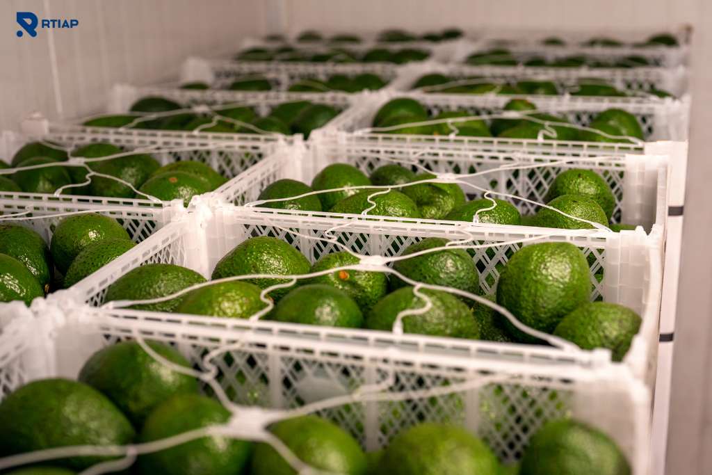 ¿Qué es la Refrigeración Industrial y Comercial y Por Qué es Vital?