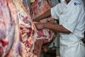 Monitoreo de Cámaras de Frío Alarmas y Reportes